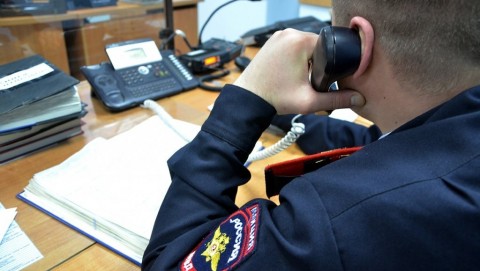 В Голышманово полицейские задержали подозреваемую в краже мобильного телефона